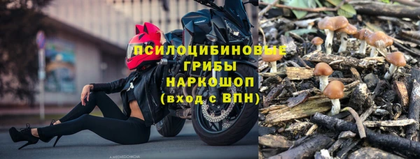 шишки Покровск