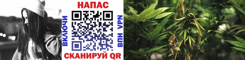 закладка  Пойковский  Марихуана Bruce Banner 